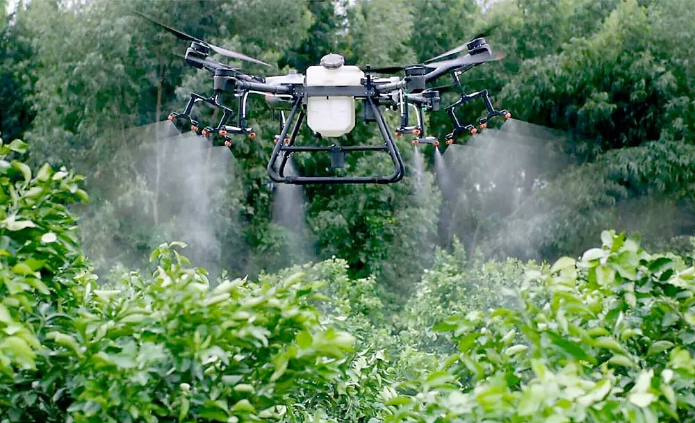 Agriculture
