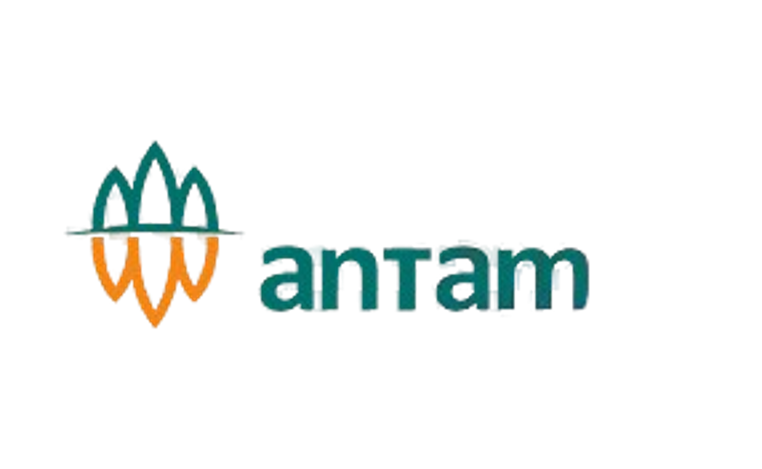 Client logo 12