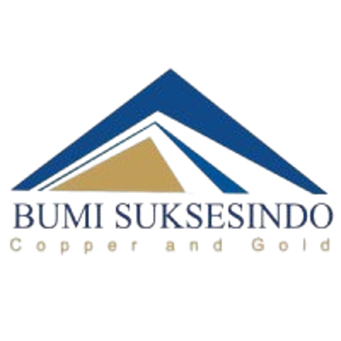 Client logo 9